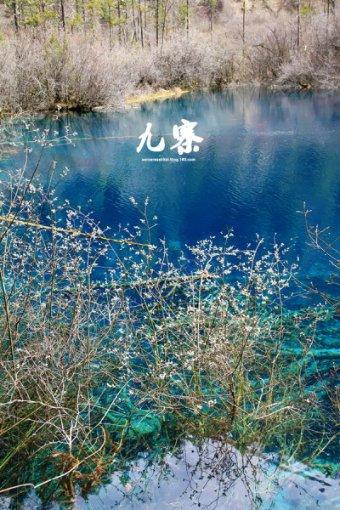 什么叫旋转中心-共享知识星球,学习更高效!